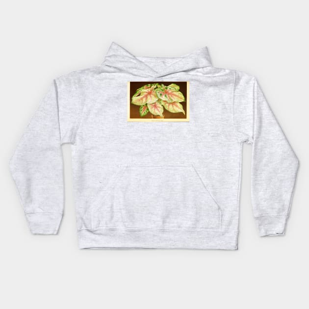 Caladium 'White Queen' - Botanical Illustration Kids Hoodie by chimakingthings